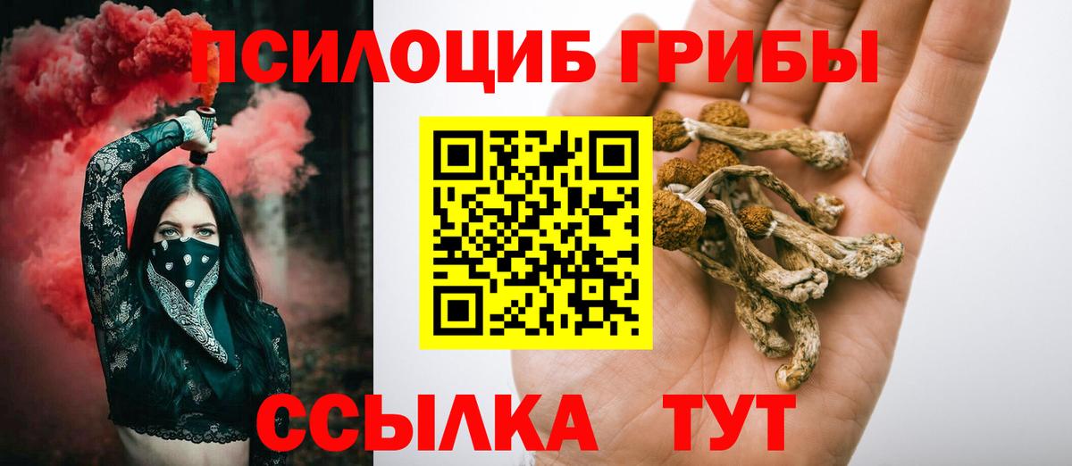 Псилоцибиновые грибы Magic Shrooms  Вход с VPN  Ногинск 
