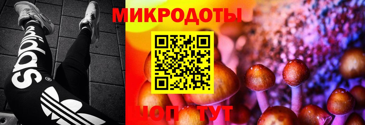 Псилоцибиновые грибы прущие грибы Ногинск